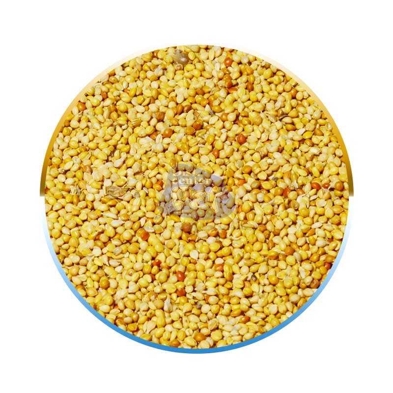 PAINÇO PORTUGUÊS 25 KG