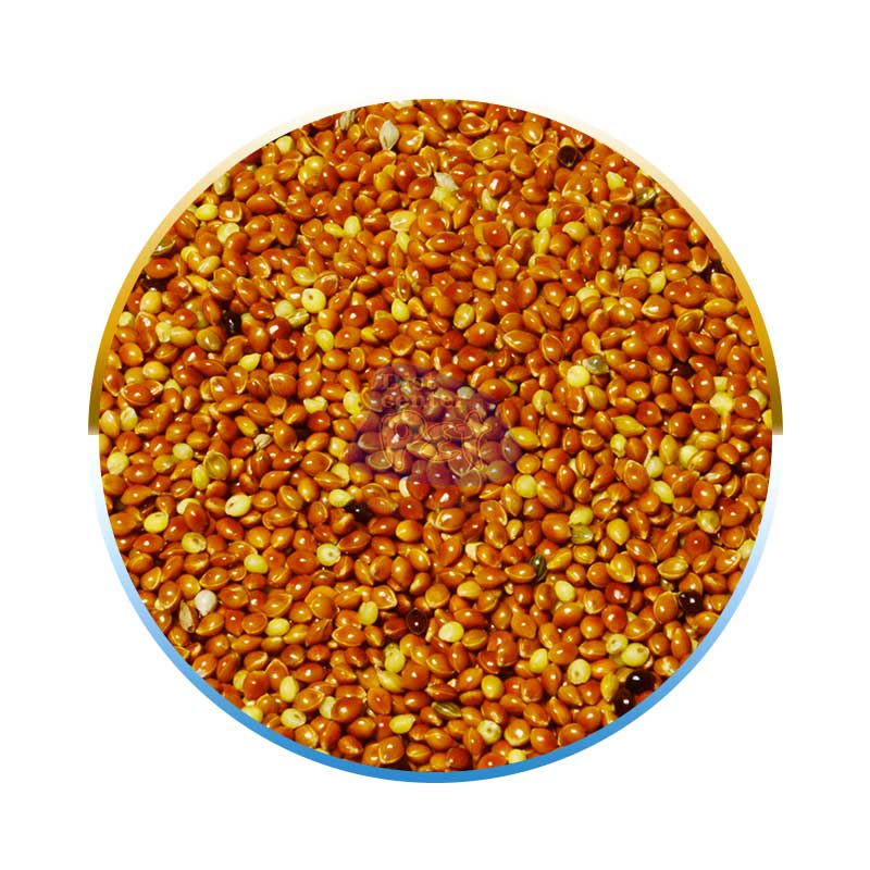PAINÇO VERMELHO 25 KG