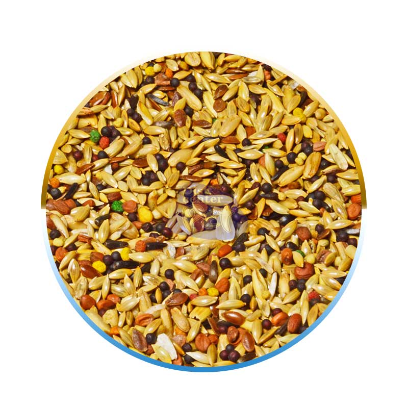 MISTURA P/ CANÁRIO 10X500g - Imagem 2