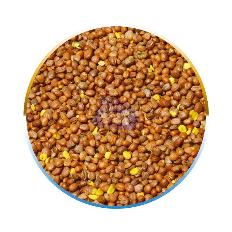 NABÃO 5 KG