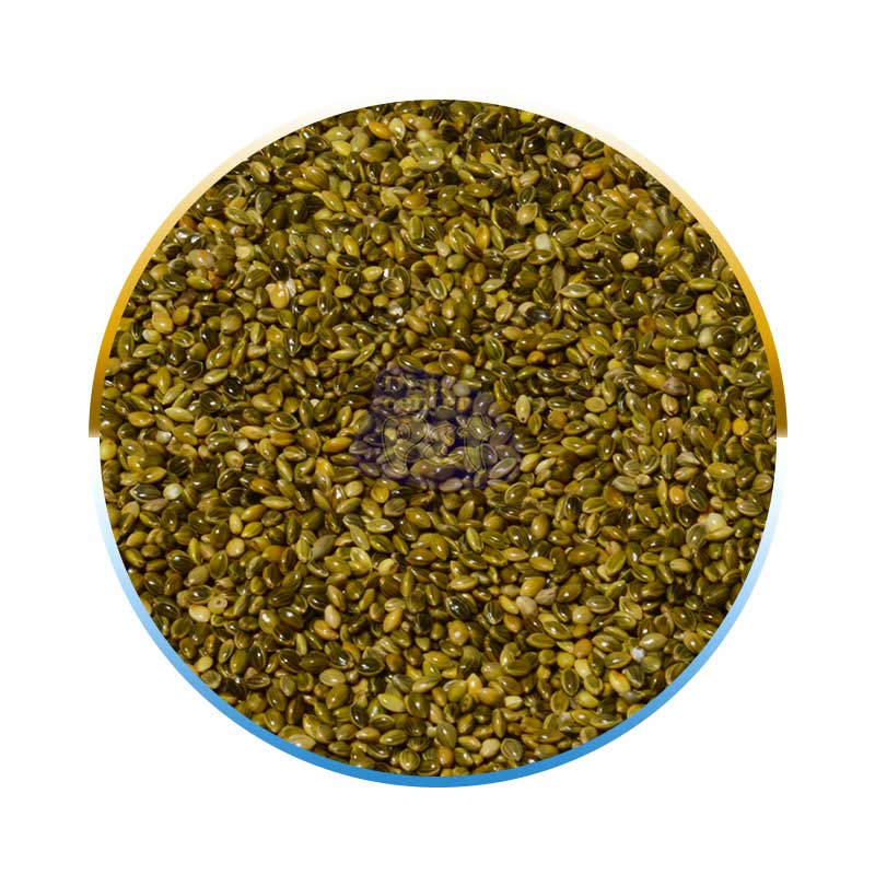 PAINÇO VERDE 5 KG