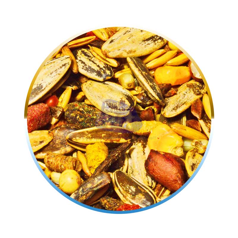MISTURA P/ PAPAGAIO C/ FRUTAS 1 KG