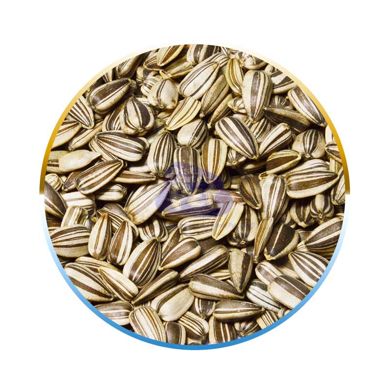 GIRASSOL COMUM 40 KG