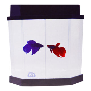 BETEIRA BETTA-FLEX 5.5 L C DIVISÃO - KIT COMPLETO